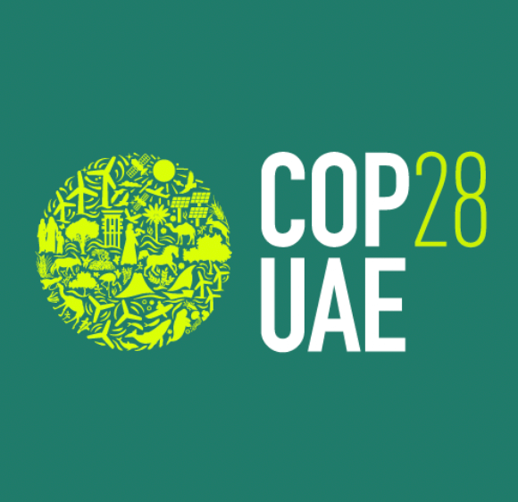 What Happened at COP28?