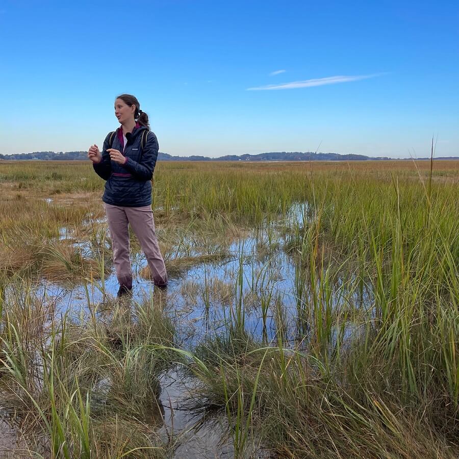 TownGreen Essex Marsh Field Trip, October 2023