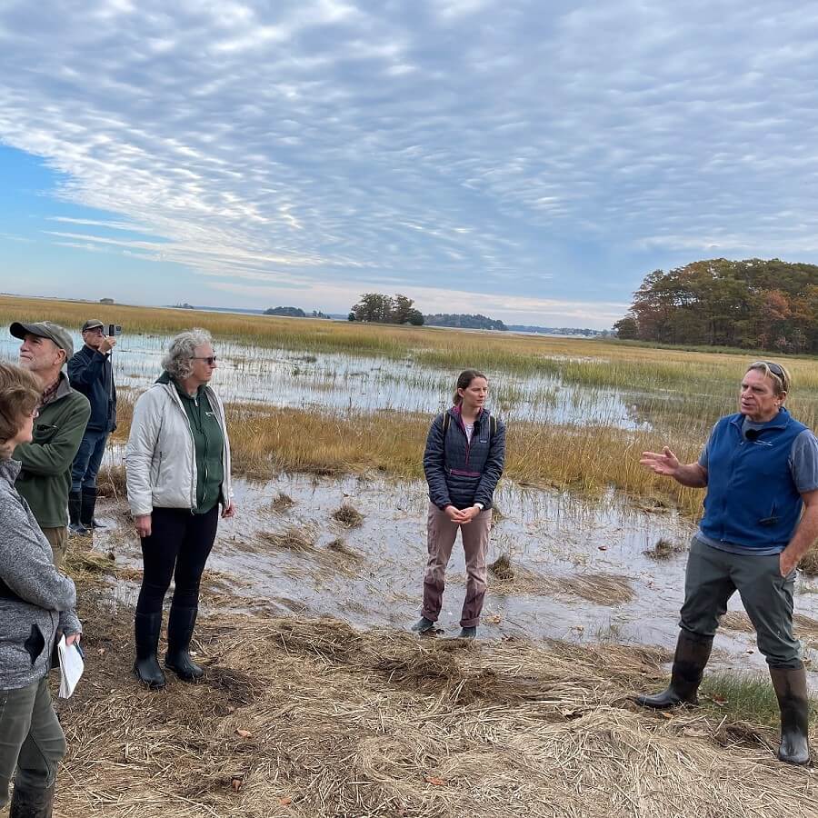 TownGreen Essex Marsh Field Trip, October 2023